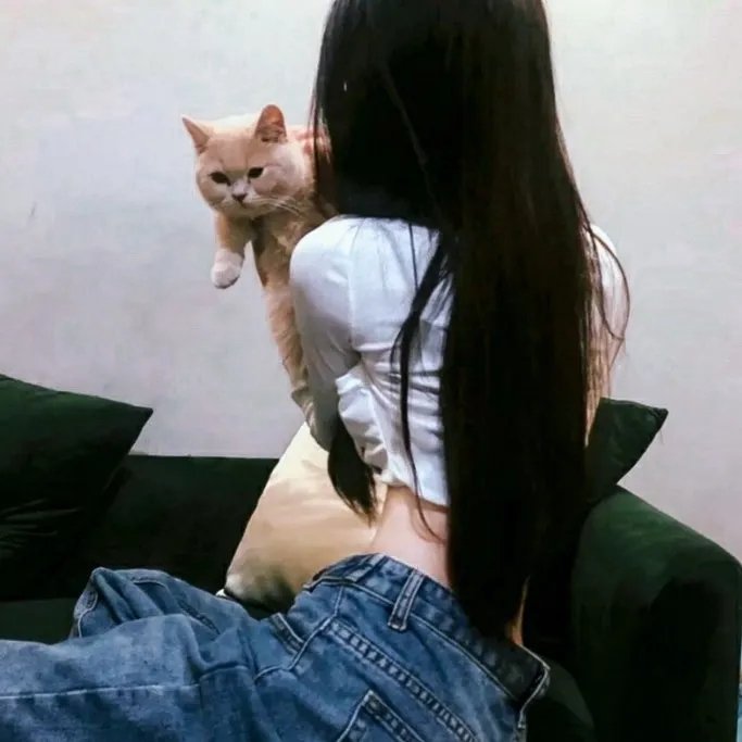 老鼠嫁女