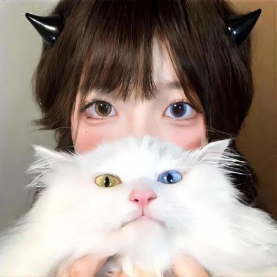 疯狂熊孩子2